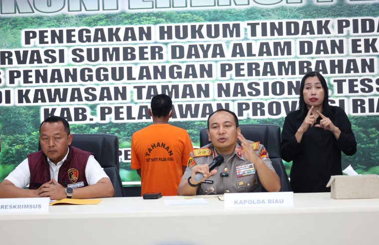 Polda Riau Tangkap Penjual Lahan di Hutan Ratusan Hektar di Tesso Nilo