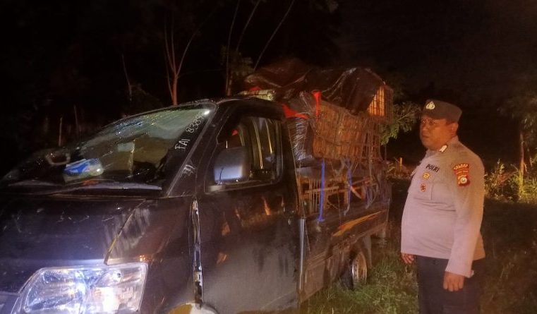 Mobil Dari Minahasa Sulut Tertimpa Pohon Kelapa di Banggai 1 Korban Belum Sadar