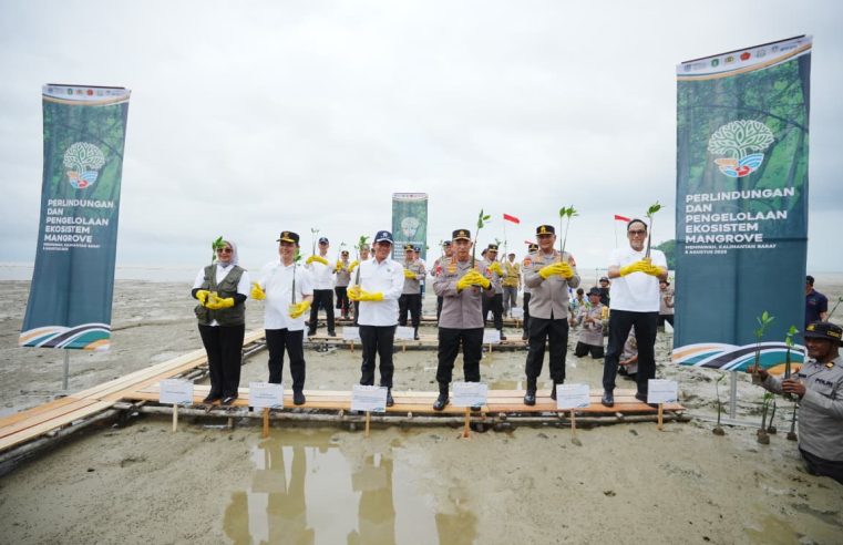 Kapolri dan Menteri LH Tanam Mangrove di Mempawah Kalbar, Dorong Kepedulian Untuk Lestarikan Lingkungan