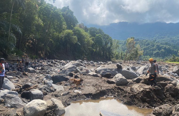 Polri Kerahkan Tim K9 SAR untuk Operasi Kemanusiaan di Wilayah Nagakeo, Nusa Tenggara Timur