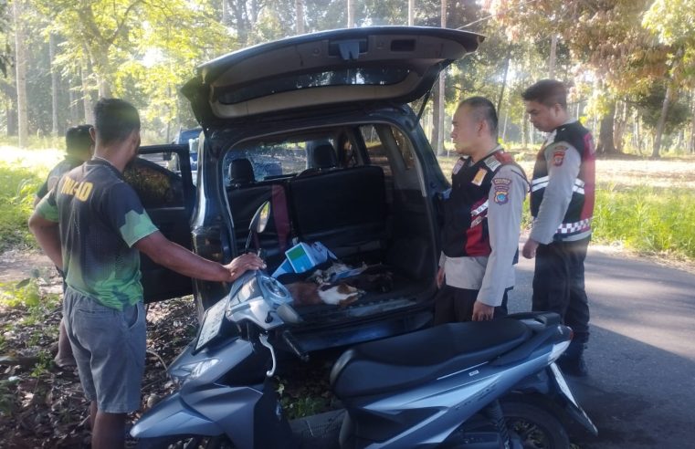 Polisi Amankan Mobil dan 3 Ekor Anjing Hasil Dugaan Pencurian