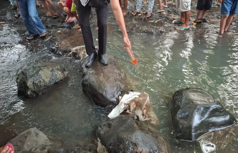 Penemuan Jasad Bayi di Sungai Lombok Timur, Polisi Cari Pelaku