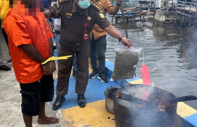Barang Bukti 14,7 Kg Ganja Dibakar, 6 Tersangka Narkotika Diamankan di Papua