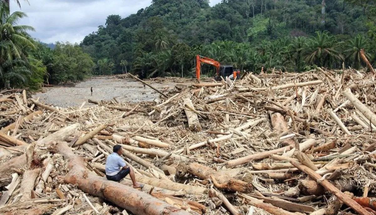 Polri Usut Asal-Usul Kayu Gelondongan yang Terbawa Banjir di Sumatera