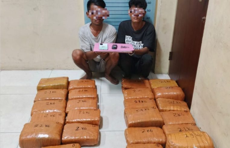 Dua Pria Diamankan Polres Aceh Tenggara, 50 Kg Ganja Siap Edar Digagalkan