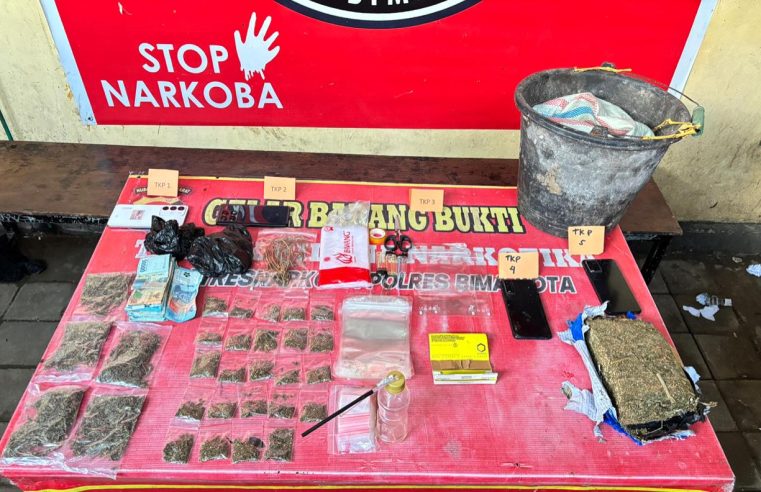 Operasi Narkoba Polres Bima Kota: Lima Pelaku Diamankan, Lebih dari 500 Gram Ganja Disita