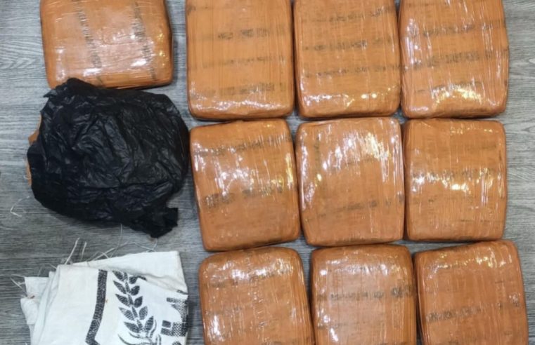 Gagal Edarkan 10 Kg Ganja di Depan Rumah Makan Grogol, Dua Tersangka Diamankan Polda Metro Jaya