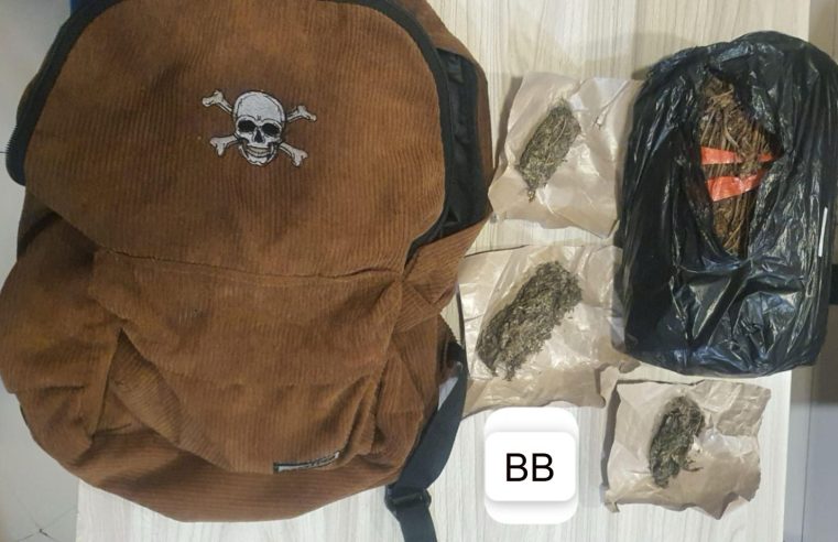 Dua Tersangka Diamankan dalam Pengungkapan Ganja di Depan JIExpo Kemayoran