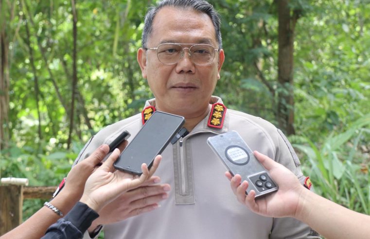 Terlibat Deretan Kasus Darah, Anggota KKB Kodap XII Ditembak di Kaki