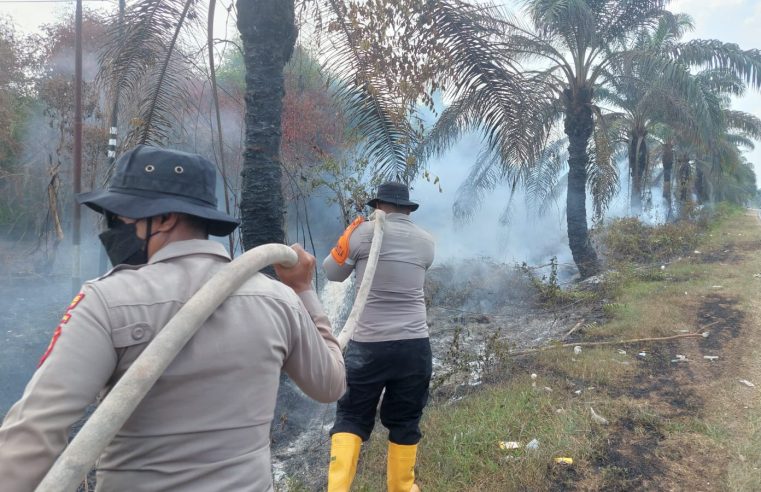 Sinergi Brimob Polda Kalteng dan BPBD Padami Kebakaran di Jalan Tjilik Riwut Sampit