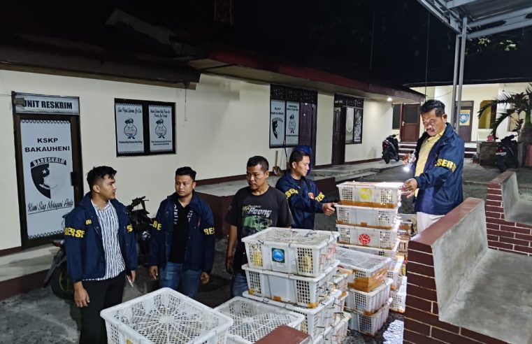 Truk Pengangkut Sapi Ternyata Sembunyikan Ribuan Burung, Diamankan di Bakauheni