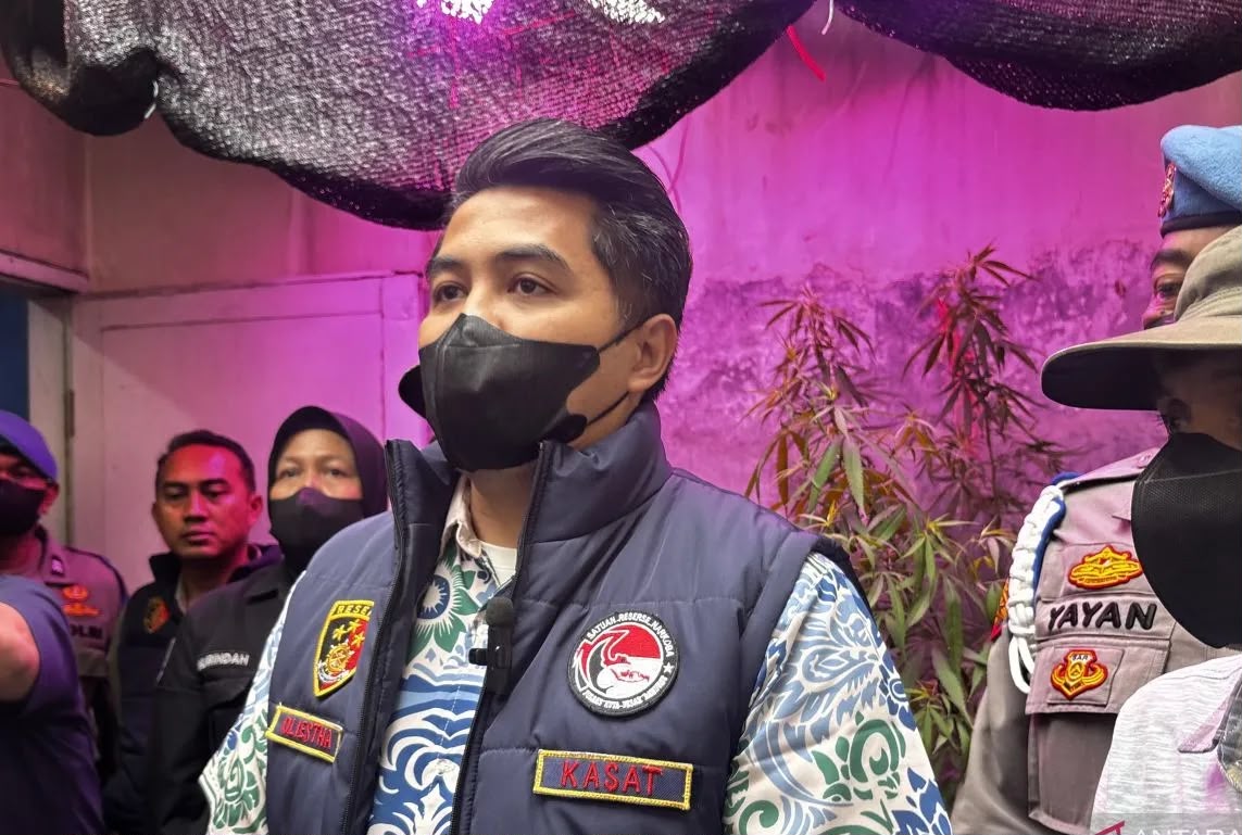 Budidaya Ganja di Rumah Oknum PPPK PU Terbongkar, Polisi Sita Bibit hingga Perlengkapan Khusus