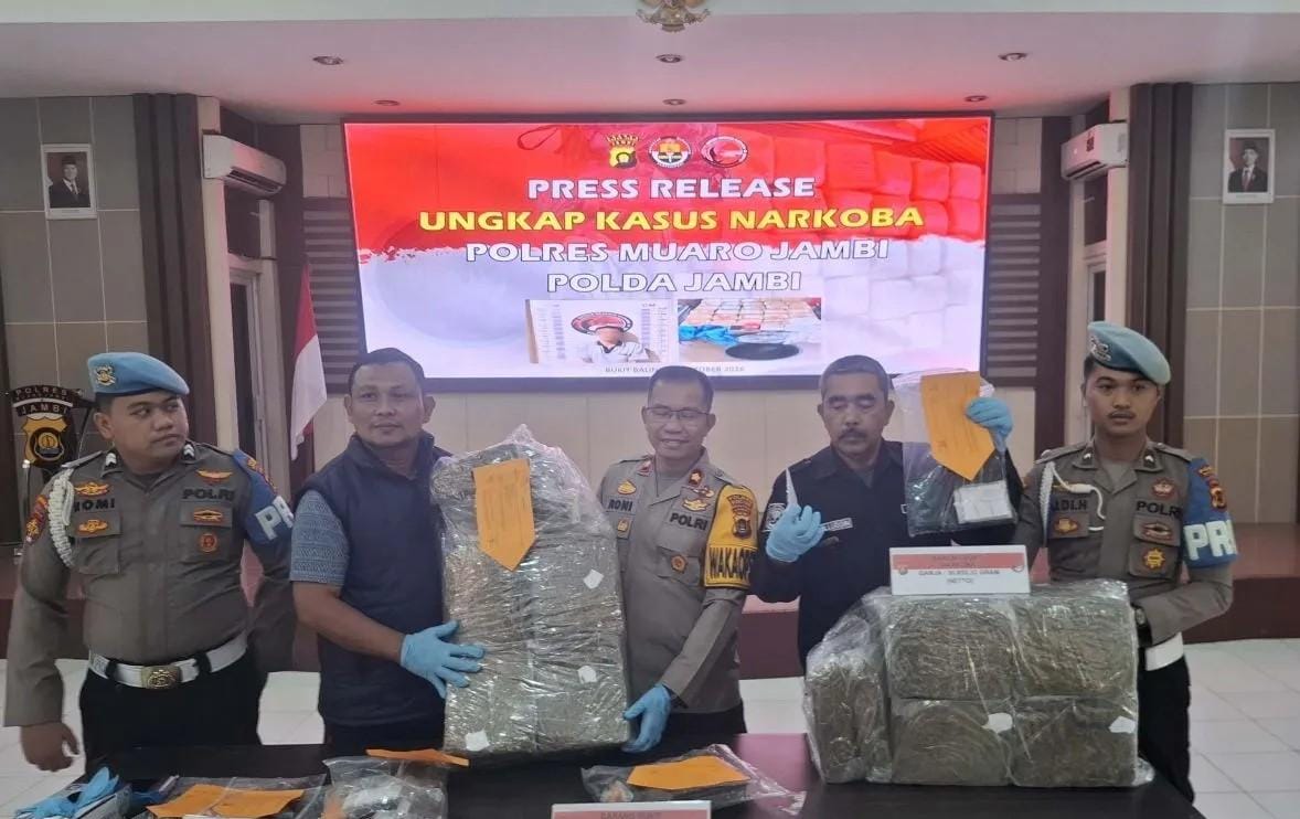 Cegah Peredaran Narkotika, Polres Muaro Jambi Tangkap Kurir Ganja 30,8 Kg Asal Padang Sidempuan